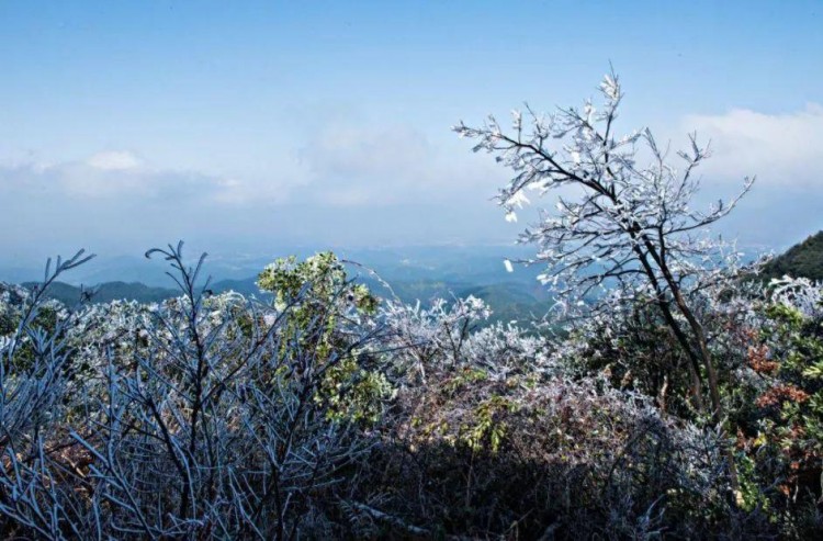 赣州旅游年卡元旦与你同行免门票畅游赣南~